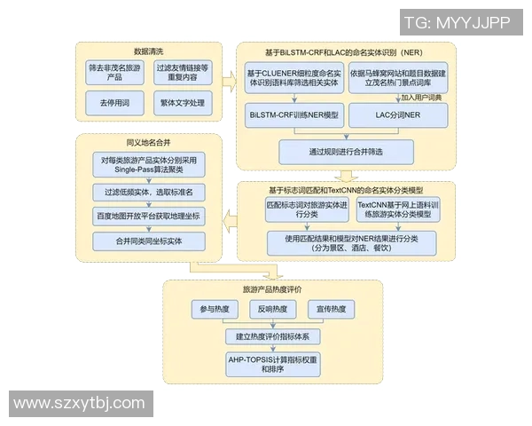 深圳排球队在挑战赛中的团队协作表现分析与点评