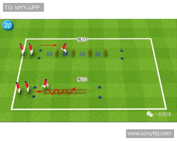科学足球:技术训练方法 科学足球:技术训练方法